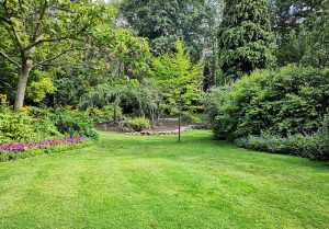 Optimiser l'expérience du jardin à Alligny-en-Morvan